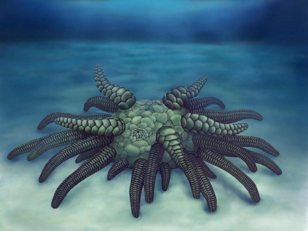 Cthulhu Lurked Under The Ocean 430 Million Years Ago (Sort Of)