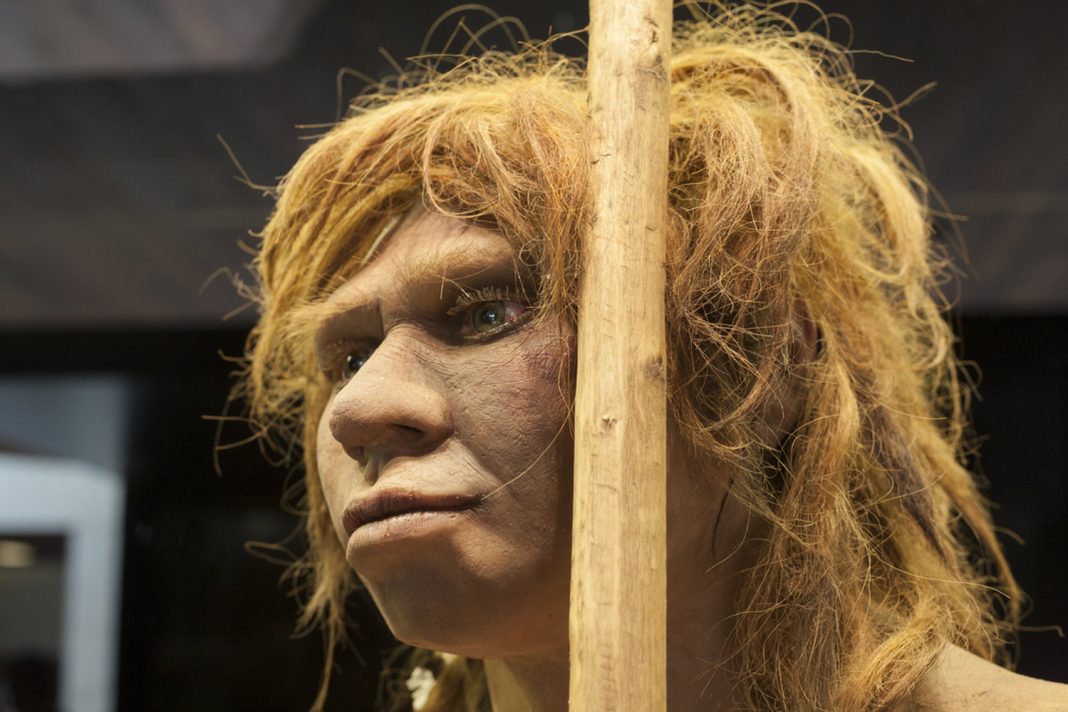 Neanderthals Might Have Been Driven to Termination by a Tiny Drop in Fertility Rates