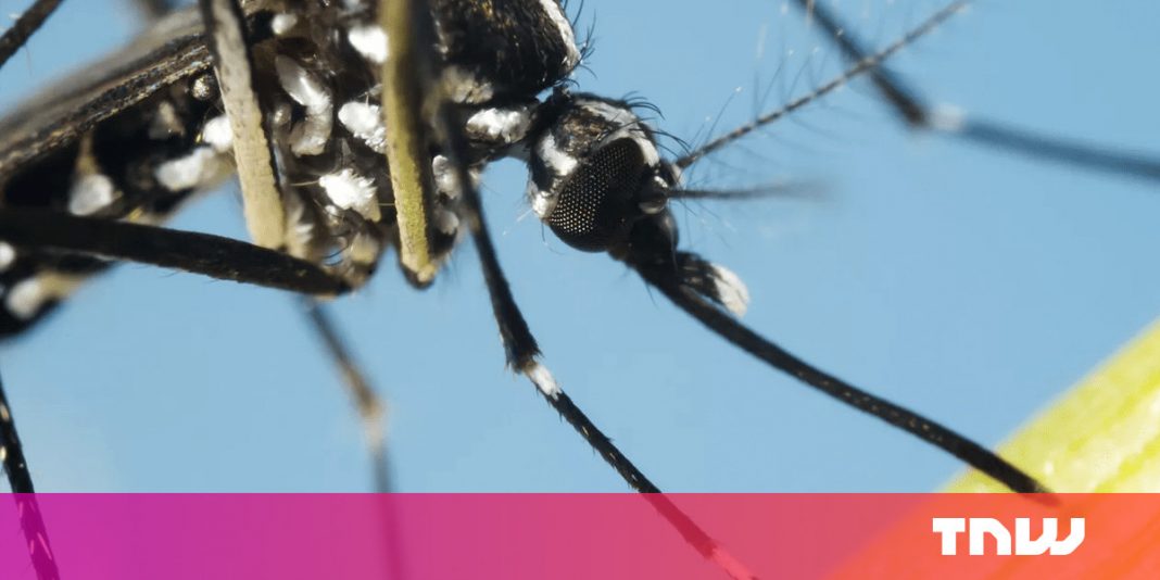 Malaria will not be resolved by feeding mosquitos sugar, scientists conclude