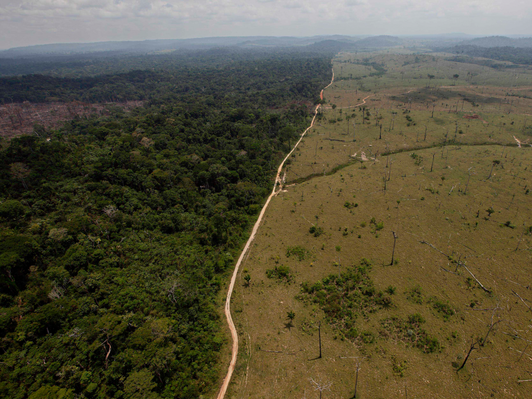 The ‘lungs of the world’ remain in threat of reaching a tipping point that might turn the Amazon rain forest into a savannah