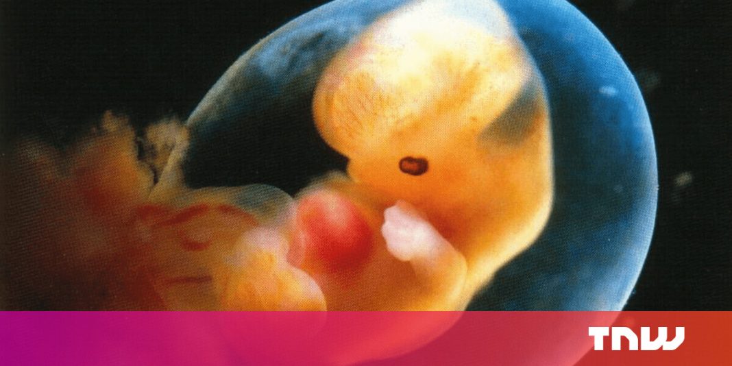 China’s failed ‘baby gene’ experiment proves we’re not ready to edit human embryos