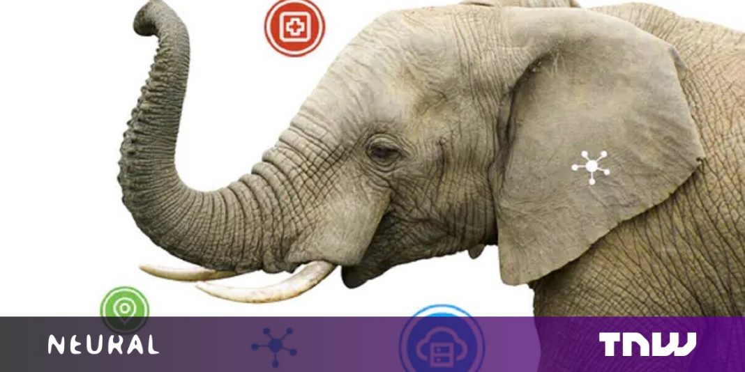 How AI can give endangered elephants a fighting chance