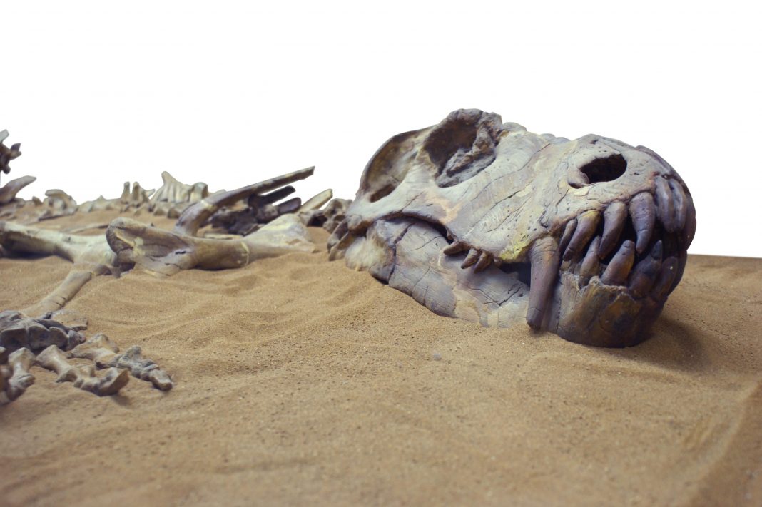 Largest Mass Extinction In The History Of The Earth Linked To Rising Carbon-Dioxide Levels